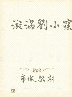 漩涡刘小寐