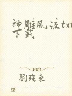 神雕风流txt下载