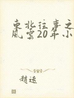 东北往事之黑道风云20年小说