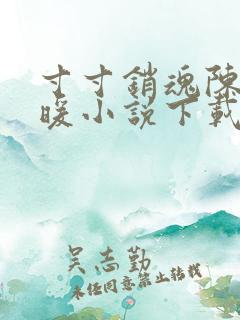 寸寸销魂陈聪王暖小说下载