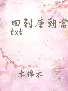 回到唐朝当皇帝txt