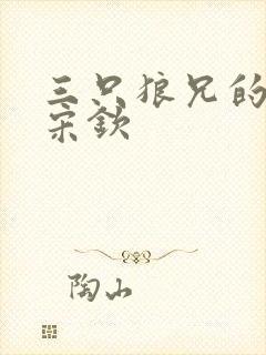 三只狼兄的宠妻宋钦