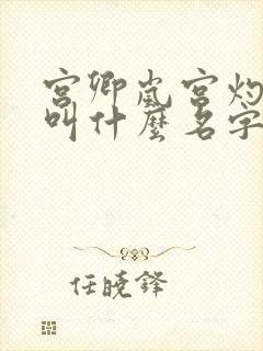 宫卿岚宫灼小说叫什么名字