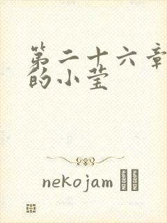 第二十六章满足的小莹