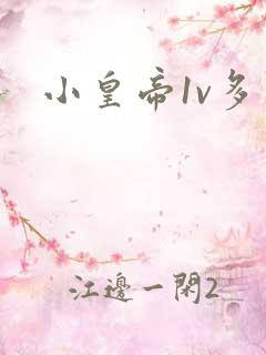 小皇帝1v多