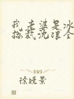 我老婆是冰山女总裁沈浪全集