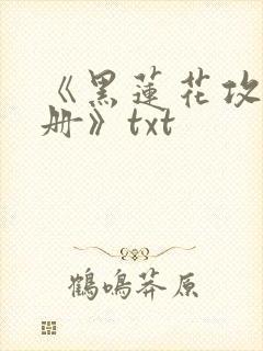 《黑莲花攻略手册》txt