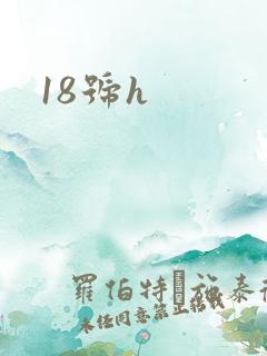 18号h