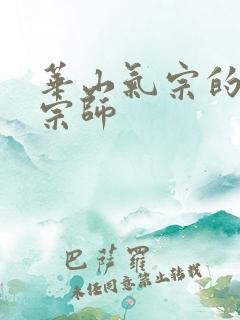 华山气宗的形意宗师