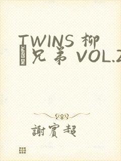 TWINS 柳澤兄弟 VOL.2