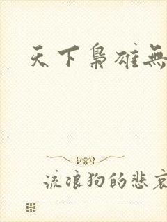 天下枭雄无弹窗