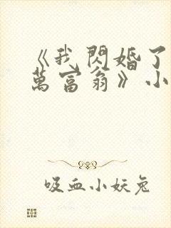 《我闪婚了个亿万富翁》小说