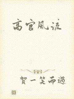 高官风流