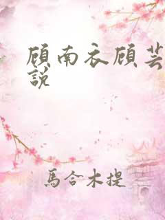 顾南衣顾芸沐小说