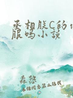 丞相朕C的你舒服吗小说