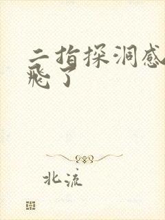 二指探洞感觉要飞了