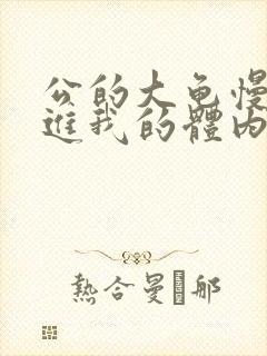 公的大龟慢慢挺进我的体内