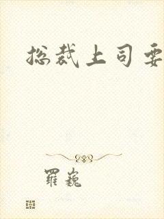 总裁上司要偷心