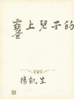 霸上儿子的总裁爸