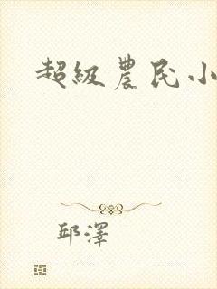 超级农民小说
