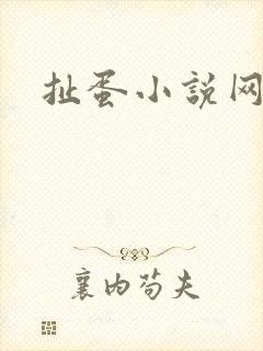 扯蛋小说网