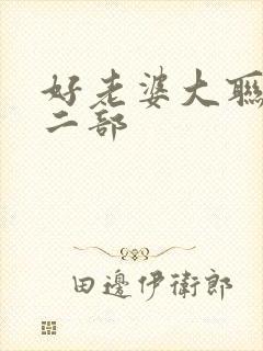 好老婆大联盟第二部