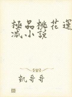 极品桃花运未删减小说