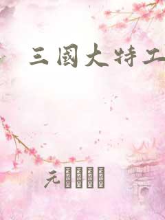 三国大特工
