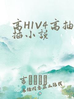 高H1V4高抽插小说