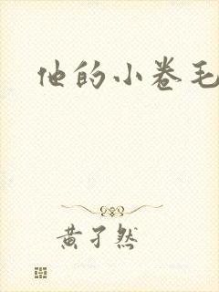 他的小卷毛