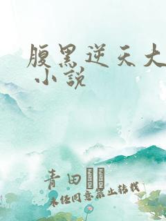 腹黑逆天大小姐 小说