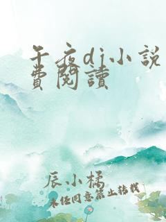 午夜dj小说免费阅读