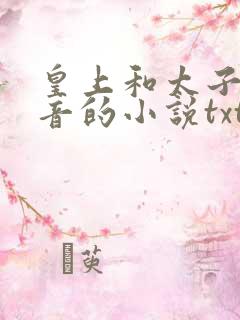 皇上和太子妃沈音的小说txt