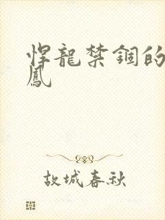 悍龙禁锢的小野凤