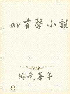 av有声小说