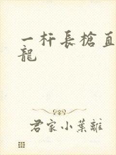 一杆长枪直捣黄龙