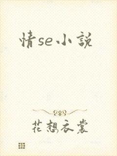 情se小说