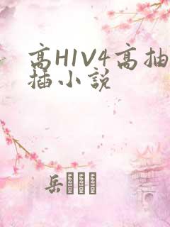 高H1V4高抽插小说