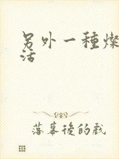 另外一种灿烂生活