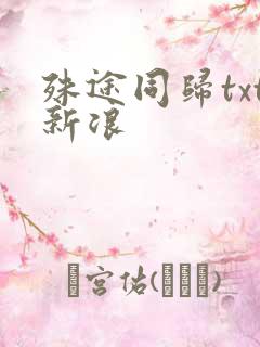 殊途同归txt新浪