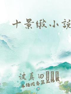 十景缎小说