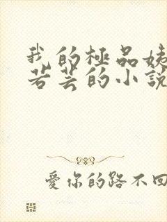 我的极品姨妈柳若芸的小说在线