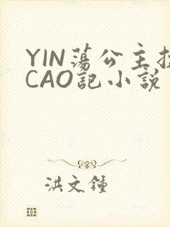 YIN荡公主挨CAO记小说