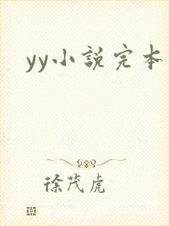 yy小说完本