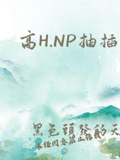 高H.NP抽插