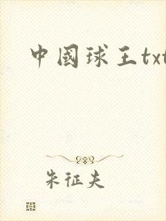中国球王txt