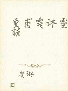 皇甫霆沐灵芸小说