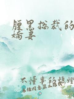 腹黑总裁的双面娇妻