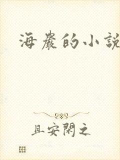 海岩的小说