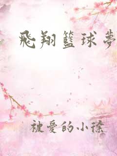 飞翔篮球梦下载